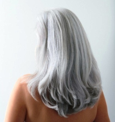 gray-hair-bear296