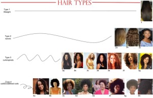 Hair-Type-Chart